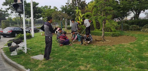 綠化施工3
